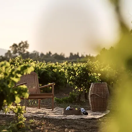 Uvetta * Μαχαιράδο